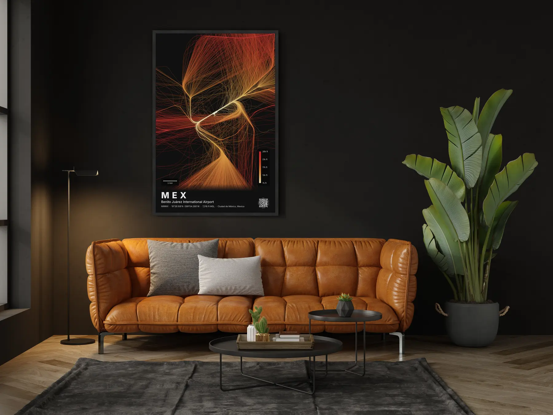 The MEX flight path map on a wall in a living room